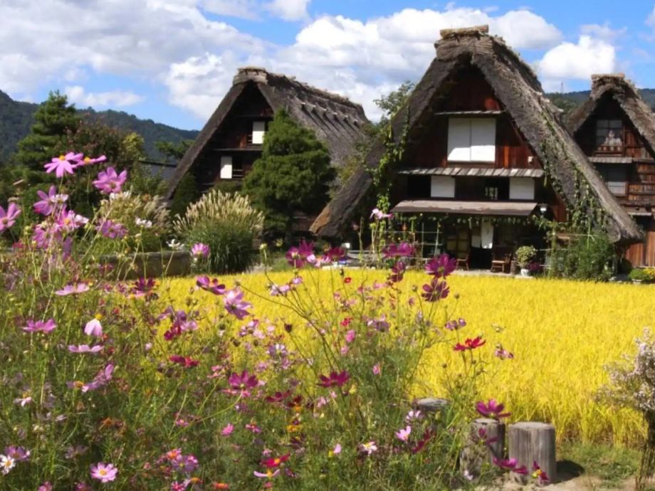 Japão